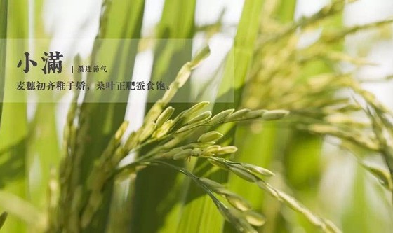 由内而外 美丽一整个夏天