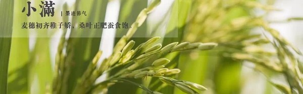 由内而外 美丽一整个夏天