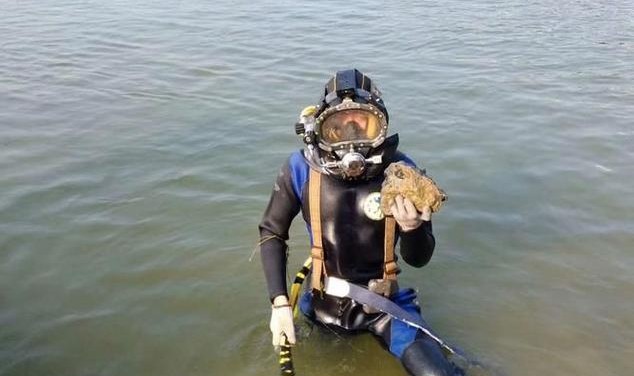 冬季潜水，除了水鬼你还有更好的选择