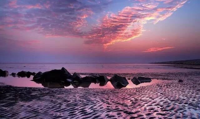 关于上海也有离岛这件事,保证你也是第一次get到!