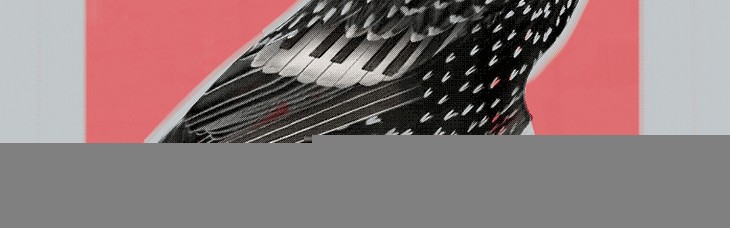 乐享生活,音乐展览好去处