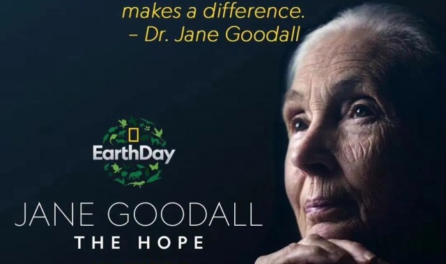 一件事坚持60年，86岁的“神奇女侠”还在拯救世界