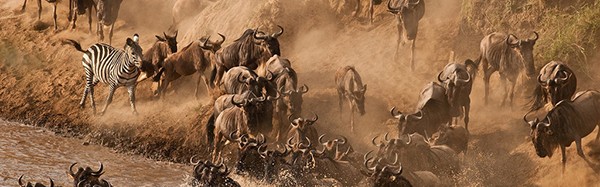 人生必须要做的50件事情 你实现了几件