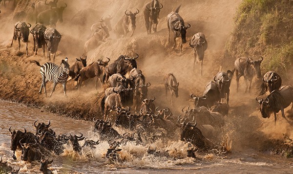 人生必须要做的50件事情 你实现了几件