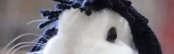 兔兔，你怎么这么爱臭美呢！