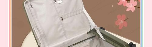 旅行箱变身时尚潮品,90分牵手爱马仕前设计师联名款巴黎首发