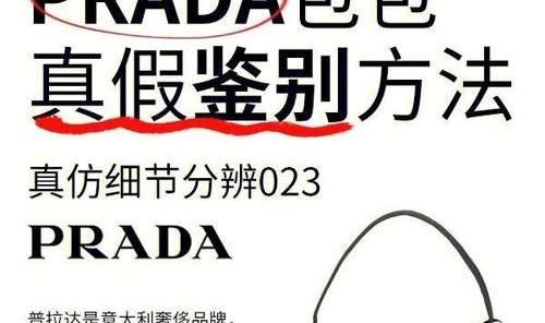包包纹样矢量图,鉴别奢侈品真伪：从五大细节辨别真伪