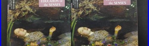 感官的教育