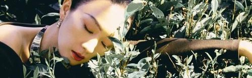 中国十二美人之“景迈访茶”