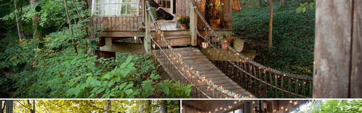 圆你童年树屋梦