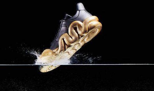 Giuseppe Zanotti 经典眼镜蛇系列运动鞋回归