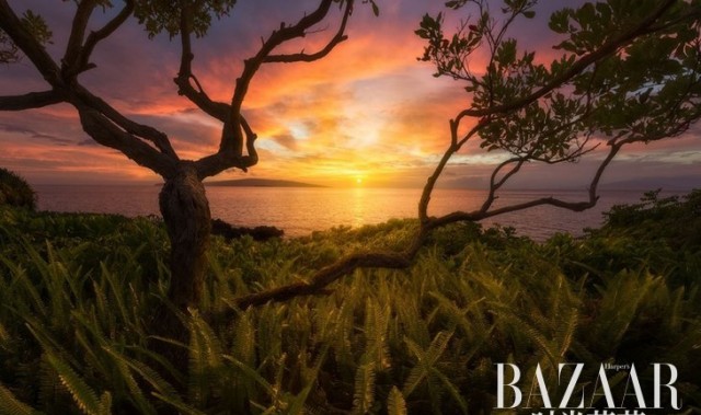 2015年全美拍得最棒的风光作品都在这儿了