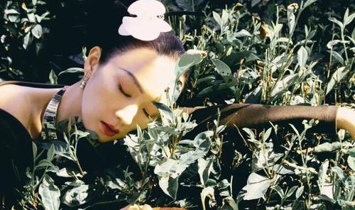 中国十二美人之“景迈访茶”