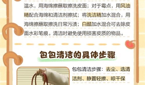 箱包杂志图片,如何擦拭名牌包包？记住四点!