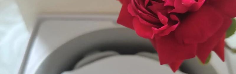 物流信息，你的情人节礼物快递已发出！