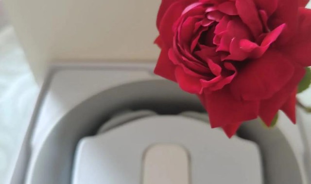 物流信息,你的情人节礼物快递已发出!