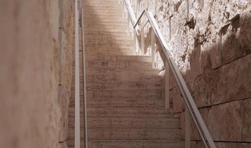 美得不可思议!全球首个地下公园Lowline