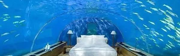 鱼缸设计，土豪家都是这么养鱼的！