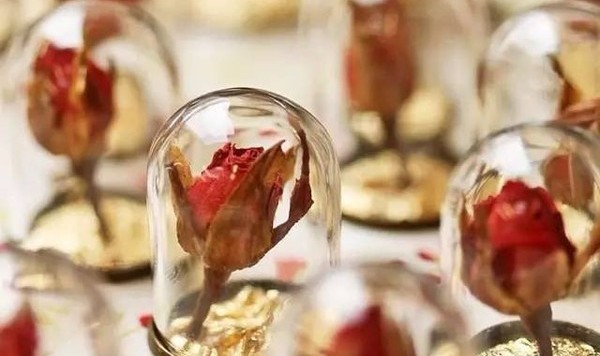 水果除了吃,还可以做饰品!?