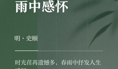 雨泽如霖 生芬若馨——发展中的雨生集团