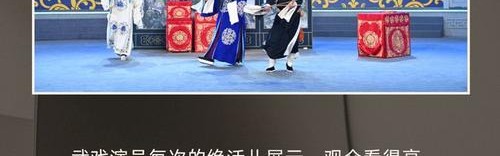“青京会”：闻道前路，繁花如锦