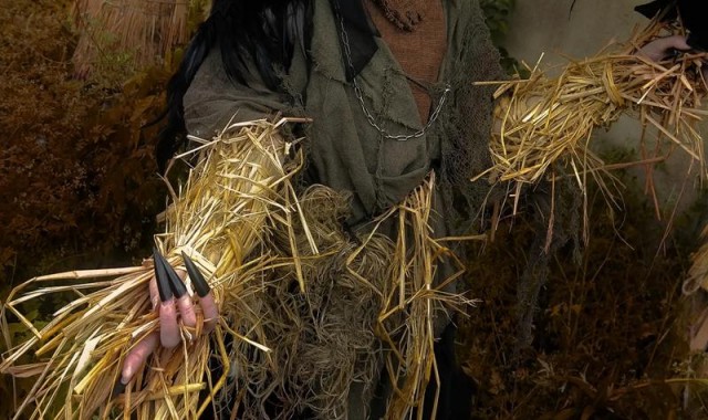 稻草人多少金币,乌鸦造型特别稻草人可放置花园驱赶通通乌鸦