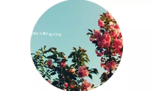 给我一个角落，做点私密的事情