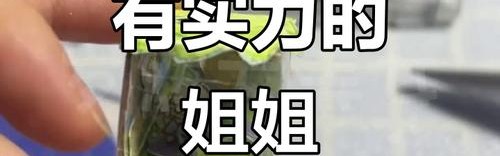 实力姐都有,故事都不缺