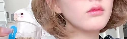 赵露思、娜比等靠一支腮红就能成为可爱甜心?看这里,大家都有机会!