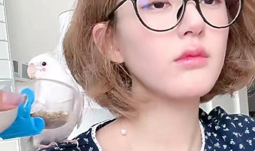 赵露思、娜比等靠一支腮红就能成为可爱甜心?看这里,大家都有机会!