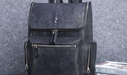 男士双肩背包图片价格,双肩包推荐阿姆斯特丹猫或卡地亚鳄鱼