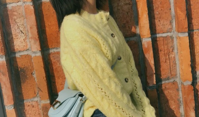 买到刘诗诗的新包后，2020年的心态终于不不崩了!