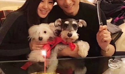 单身汪请注意!刘诗诗也要化身仙女走进婚礼殿堂啦!