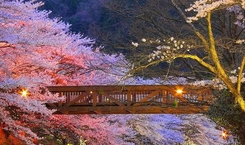 日本景观——隐性的日本美学