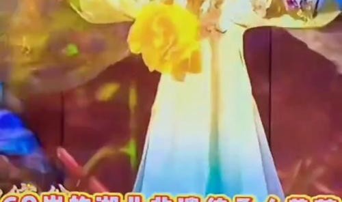 看归来的李子柒,过多彩的非遗年!