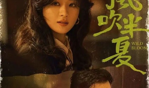 《风吹半夏》：从野蛮生长，到与时代和解