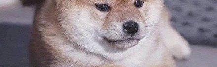 可恶！这次被她装到了