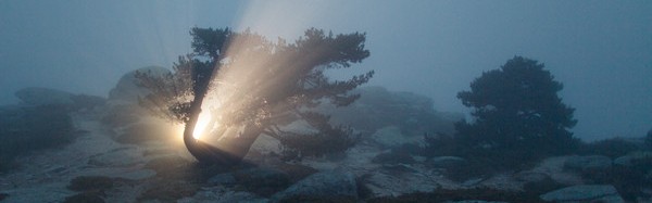 世界上竟有这么多巧合,你还不相信奇迹吗?