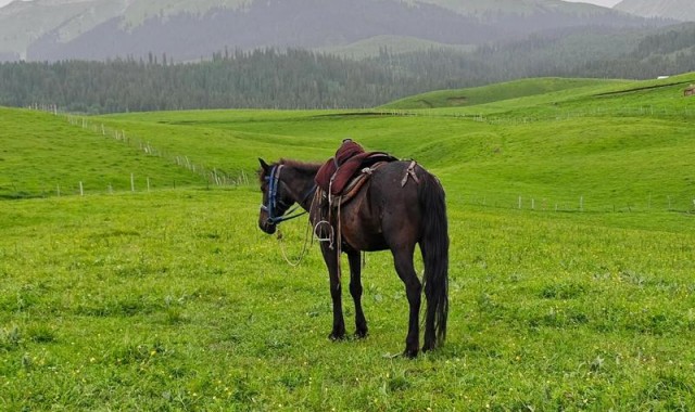 时尚芭莎90秒 ｜你想都不敢想的盛世美景，坐标中国