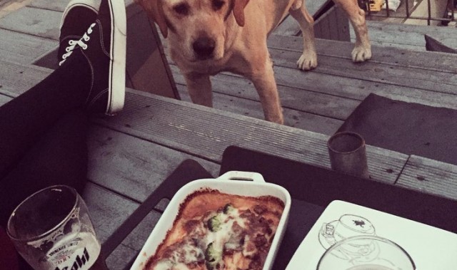 一家可以带着宠物享受悠闲时光的主题餐厅