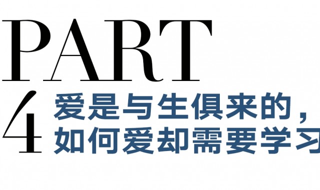 《涉过愤怒的海》:父母更爱儿女,还是更爱身份?