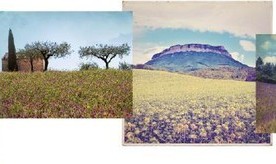 Les Voyages de diptyque 香氛之旅