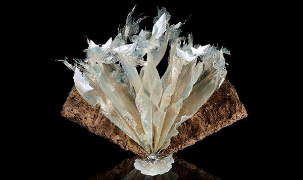 我想就这样冻结了时间,冻结你