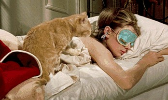 假期通宵嗨，上班变懵呆！8个助眠小物帮你把觉补回来