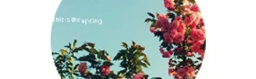 给我一个角落,做点私密的事情