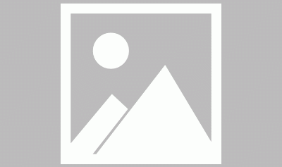 当代“囍饰” “鹊”有佳期 老庙有鹊系列新品上市