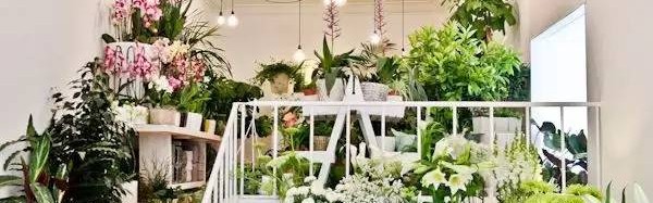 每个女孩都想有一家自己的花店