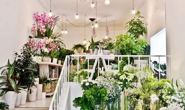 每个女孩都想有一家自己的花店