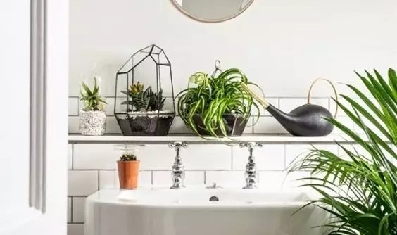 小小卫浴间也能变身为迷你花园