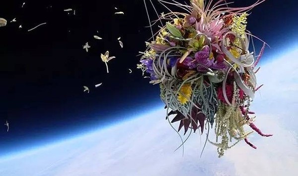 他们撒在这里的种子，长成了艺术!